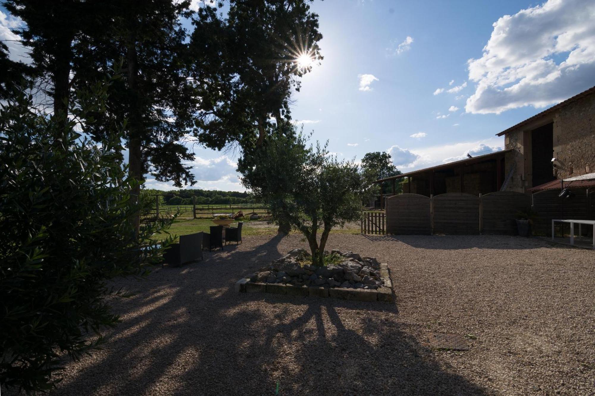 B&B Maison D'Hote Et Gite Mas D'Eymard Arles Cameră foto